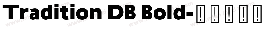Tradition DB Bold字体转换
